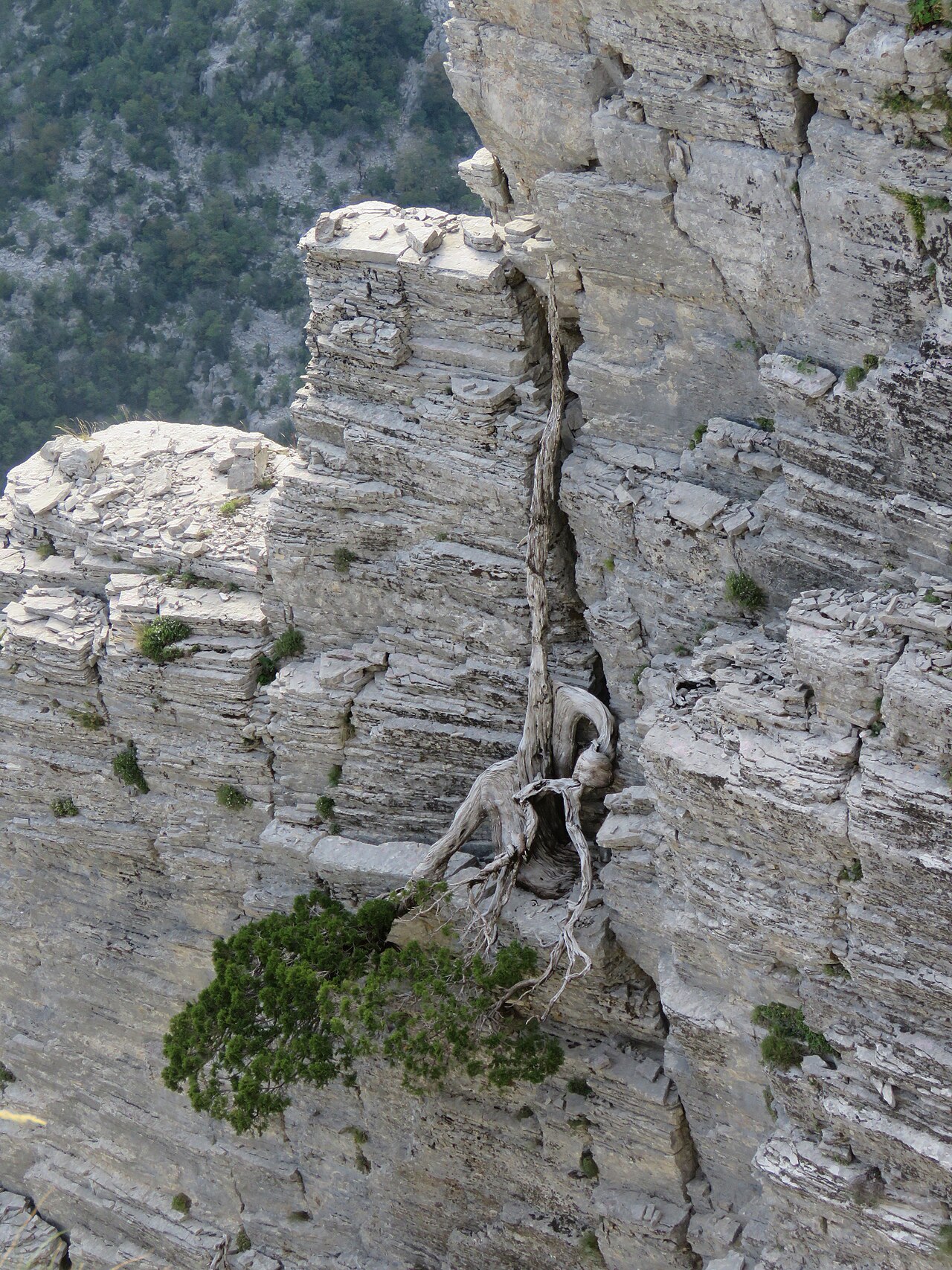 Beloi viewpoint over Vikos